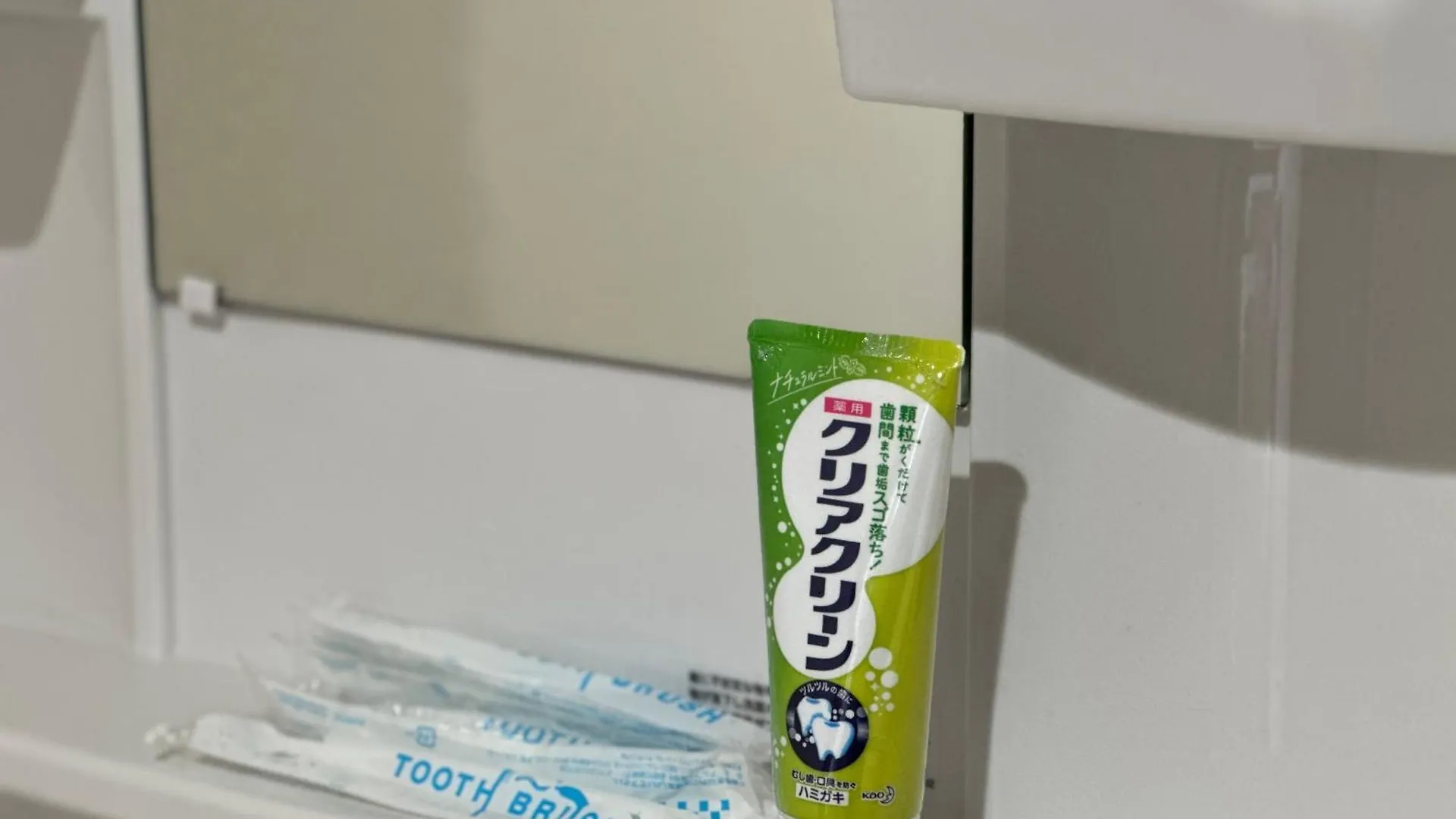 新宿区神楽坂近く大空间 Tokyo Apartment