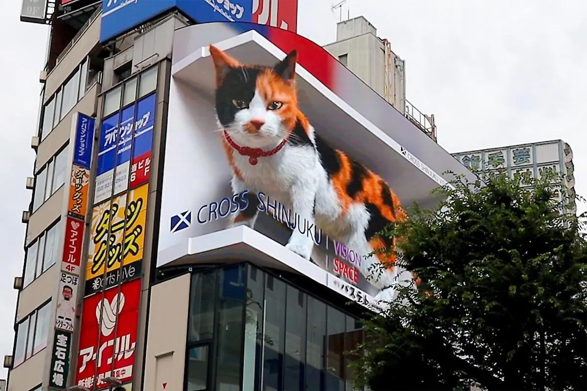 新宿区神楽坂近く大空间 Tokyo 0*,  Japan