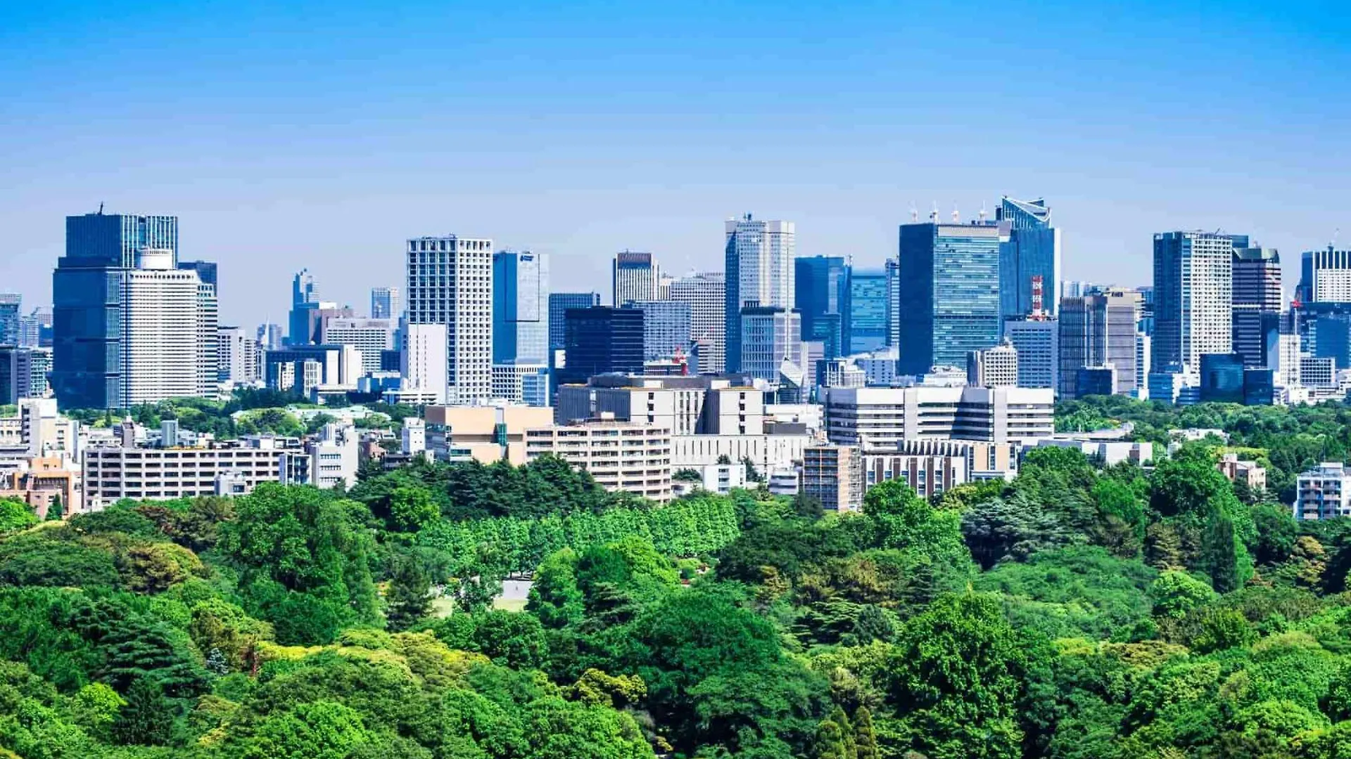 新宿区神楽坂近く大空间 Tokyo Japan