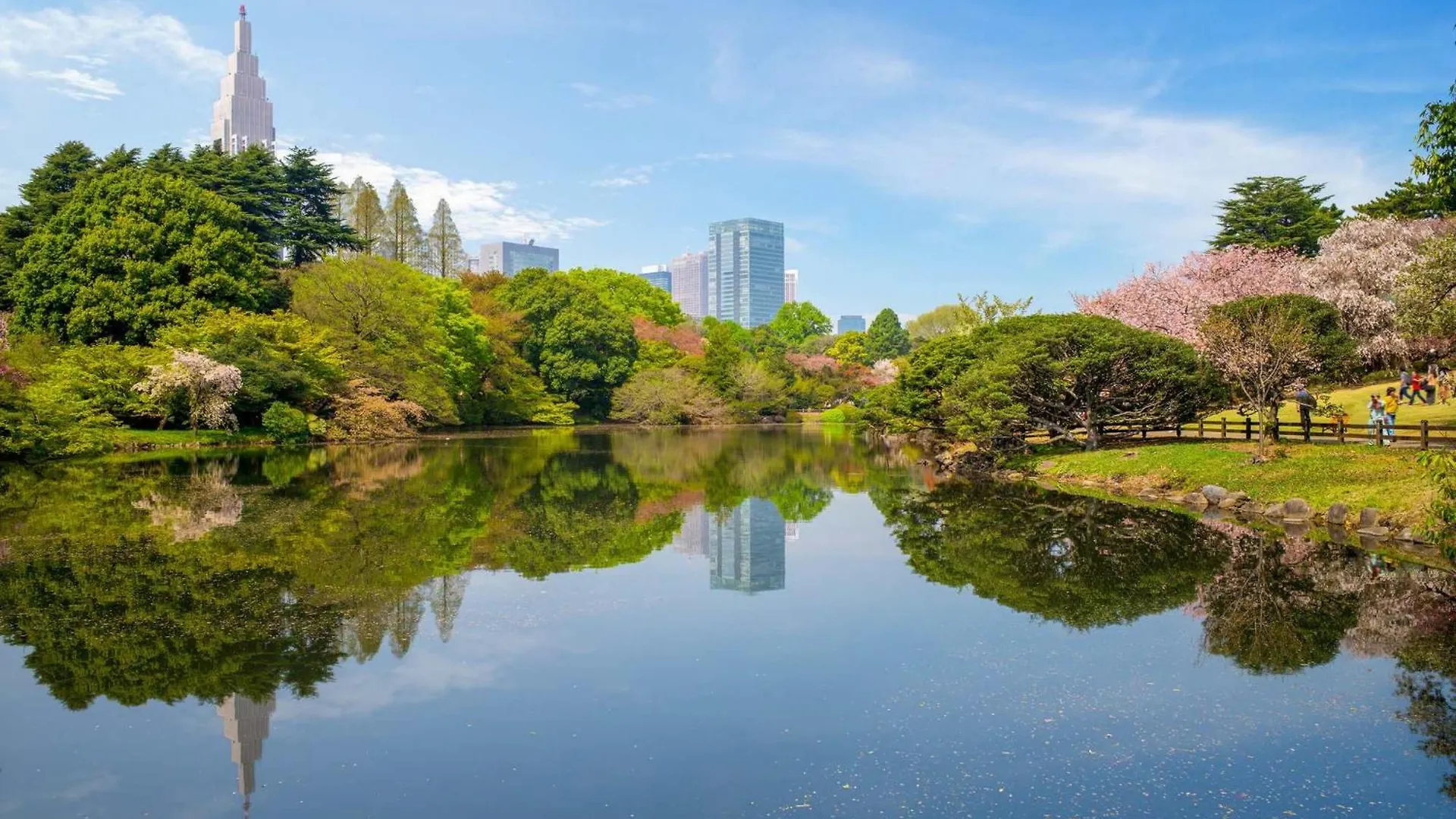 新宿区神楽坂近く大空间 Tokyo 0*,  Japan